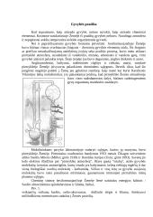 Hipotezės aiškinančios gyvybės atsiradimą ir jų pagrįstamumas 3 puslapis