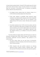 ICANN (Internet Corporation for Assigned Names and Numbers) teisinė struktūra 7 puslapis