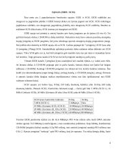 IDE ir SCSI sąsajos 4 puslapis