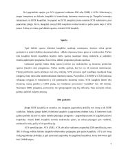 IDE ir SCSI sąsajos 7 puslapis