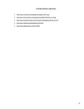 IDE ir SCSI sąsajos 10 puslapis