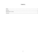 Idealus mokytojas ir idealaus mokytojo pageidaujamos savybės 2 puslapis