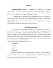 Idealus mokytojas ir idealaus mokytojo pageidaujamos savybės 4 puslapis