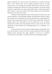 Ieškinio senaties samprata bei taikymas 13 puslapis