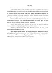 Ieškinio senaties terminas 2 puslapis