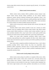 Ieškinio senaties terminas 11 puslapis