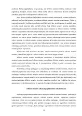 Ieškinio senaties terminas 12 puslapis