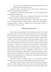 Ieškinio senaties terminas 8 puslapis