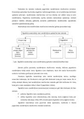 Ilgalaikio materialiojo turto nusidėvėjimas 9 puslapis