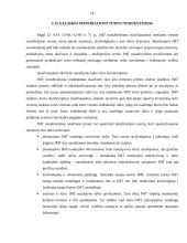 Ilgalaikis ir materialusis turtas 13 puslapis