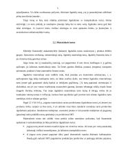 Ilgalaikis ir materialusis turtas 4 puslapis
