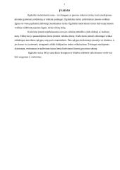 Ilgalaikis turtas 2 puslapis