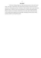 Ilgalaikis turtas 11 puslapis