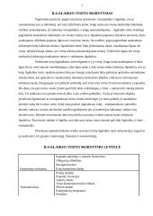 Ilgalaikis turtas 3 puslapis