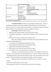 Ilgalaikis turtas 4 puslapis