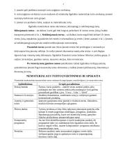 Ilgalaikis turtas 5 puslapis