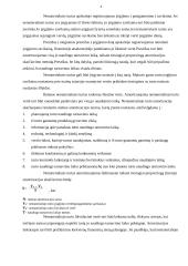 Ilgalaikis turtas 6 puslapis