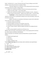 Ilgalaikis turtas 8 puslapis