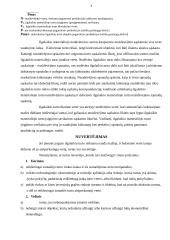 Ilgalaikis turtas 9 puslapis