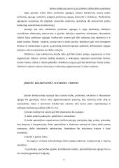 Viskas apie įmonės kolektyvines sutartis 5 puslapis