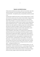 Įmonės restruktūrizavimas 2 puslapis
