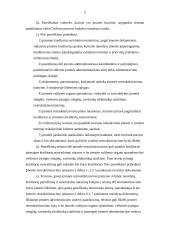 Įmonės restruktūrizavimas 5 puslapis