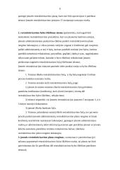 Įmonės restruktūrizavimas 6 puslapis
