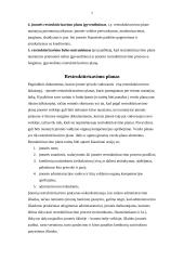 Įmonės restruktūrizavimas 7 puslapis