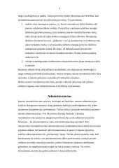 Įmonės restruktūrizavimas 9 puslapis