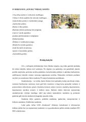 Įmonės rinkodariniai veiksniai: UAB "Senukai" 3 puslapis