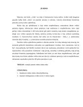 Įmonių veiklos rizikos rūšių nustatymas