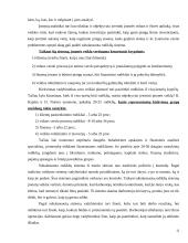 Įmonių veiklos rizikos rūšių nustatymas 11 puslapis