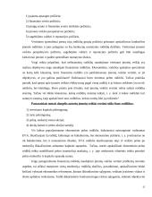 Įmonių veiklos rizikos rūšių nustatymas 13 puslapis