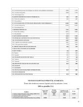 Įmonių veiklos rizikos rūšių nustatymas 17 puslapis