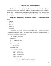 Įmonių veiklos rizikos rūšių nustatymas 3 puslapis