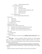 Įmonių veiklos rizikos rūšių nustatymas 4 puslapis