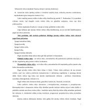 Įmonių veiklos rizikos rūšių nustatymas 5 puslapis