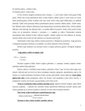 Įmonių veiklos rizikos rūšių nustatymas 7 puslapis