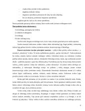 Įmonių veiklos rizikos rūšių nustatymas 8 puslapis