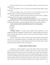 Įmonių veiklos rizikos rūšių nustatymas 10 puslapis