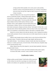 Indiška virtuvė: gyventojų mitybos įpročiai bei patiekalų paruošimo ypatumai 4 puslapis