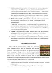 Indiška virtuvė: gyventojų mitybos įpročiai bei patiekalų paruošimo ypatumai 6 puslapis