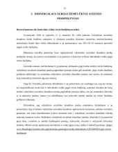 Individualaus verslo žemės ūkyje organizavimas 13 puslapis