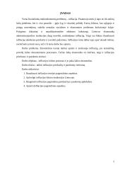 Infliacijos kitimo procesas ir jo įtaka šalies ekonomikai 2 puslapis