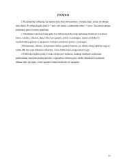 Infliacijos kitimo procesas ir jo įtaka šalies ekonomikai 12 puslapis