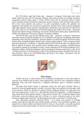 Informacijos kaupikliai 5 puslapis