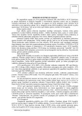 Informacijos kaupikliai 7 puslapis