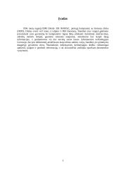 Informacinės technologijos ir ekonomika Lietuvoje 2 puslapis