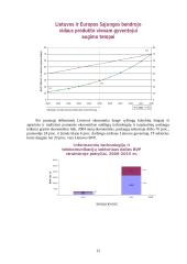 Informacinės technologijos ir ekonomika Lietuvoje 12 puslapis