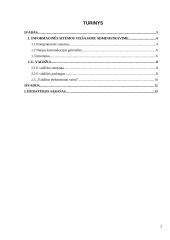 Informacinės technologijos viešajame  administravime 2 puslapis